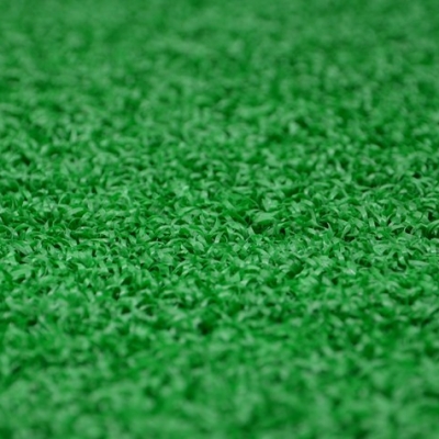 高密度绿色曲丝门球草