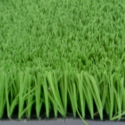 冲砂型高尔夫果岭草