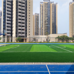 深圳龙岗平湖某学校足球场