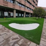 重庆某学校人造草果岭案例