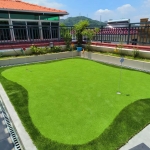 深圳罗湖某别墅人造草果岭案例