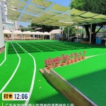 深圳南山某幼儿园人造草运动场