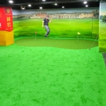 中山室内高尔夫人造草果岭案例