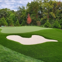 仿真草果岭和天然草果岭的区别